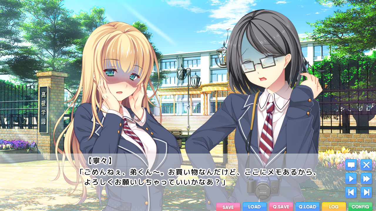 유감스러운 누나와의 행복론