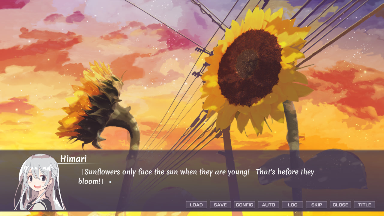 히카게의 히마와리 - sun in the shade