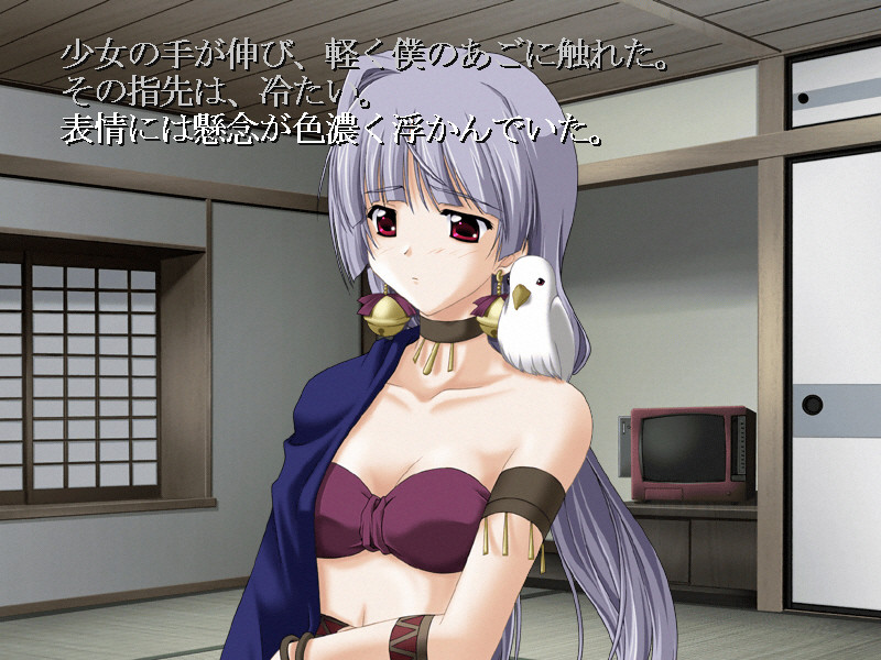 아르키메데스의 분실물