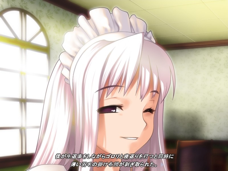 메이드 운명록～속죄의 제물·엽기의 함정～