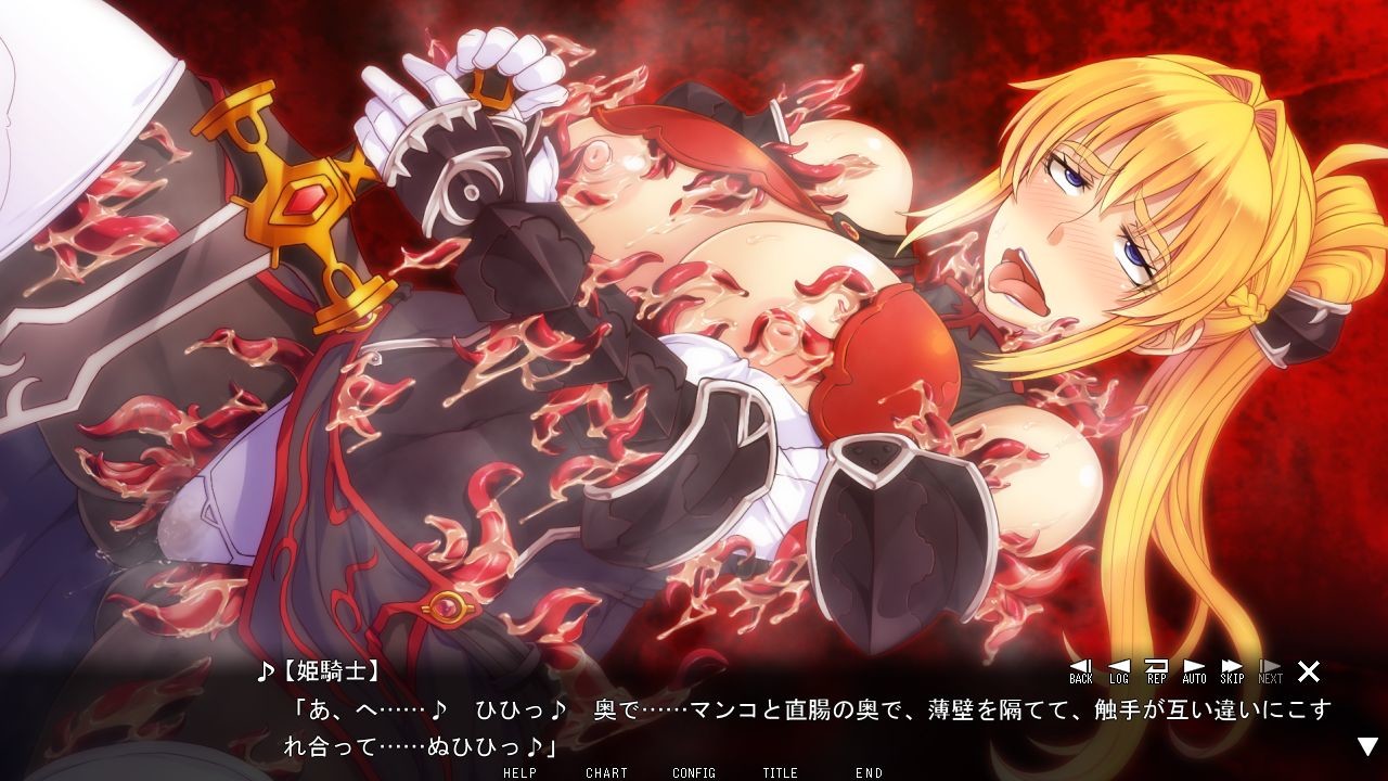 거유공주기사 외전 ～치욕의 배틀 콜로세움～