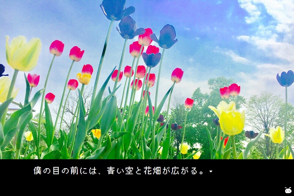 멘헤라 프레시아