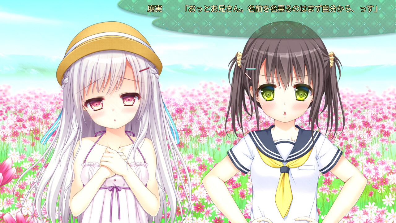 여동생을 더럽힌 기억