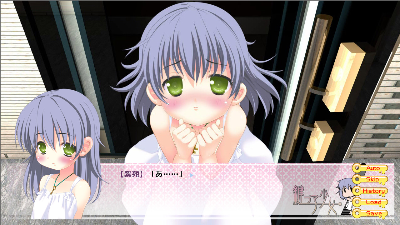 카기코 소녀 ～햇살 속의 집 지키기～