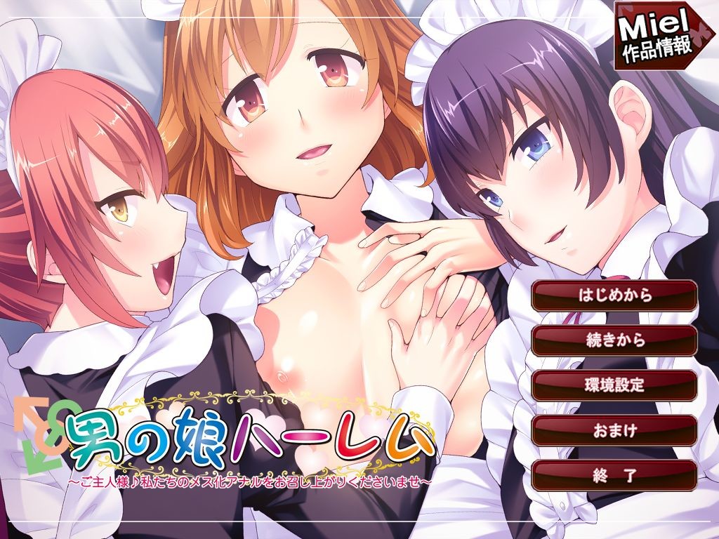 오토코노코 하렘 ～주인님♪ 저희의 암컷화 애널을 마음껏 즐겨주세요～