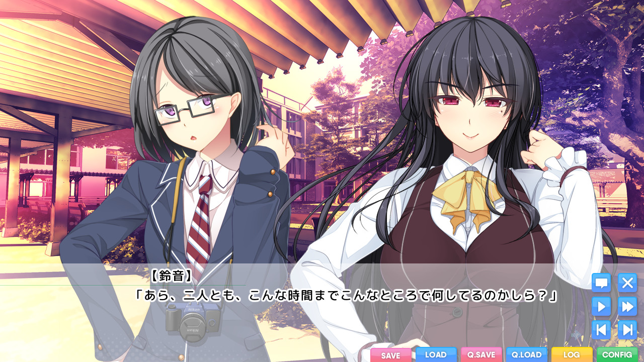 유감스러운 누나와의 행복론