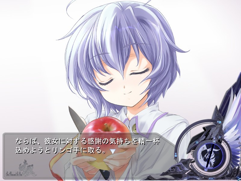 그 빛, 그 날개 ～아자토스의 유산～