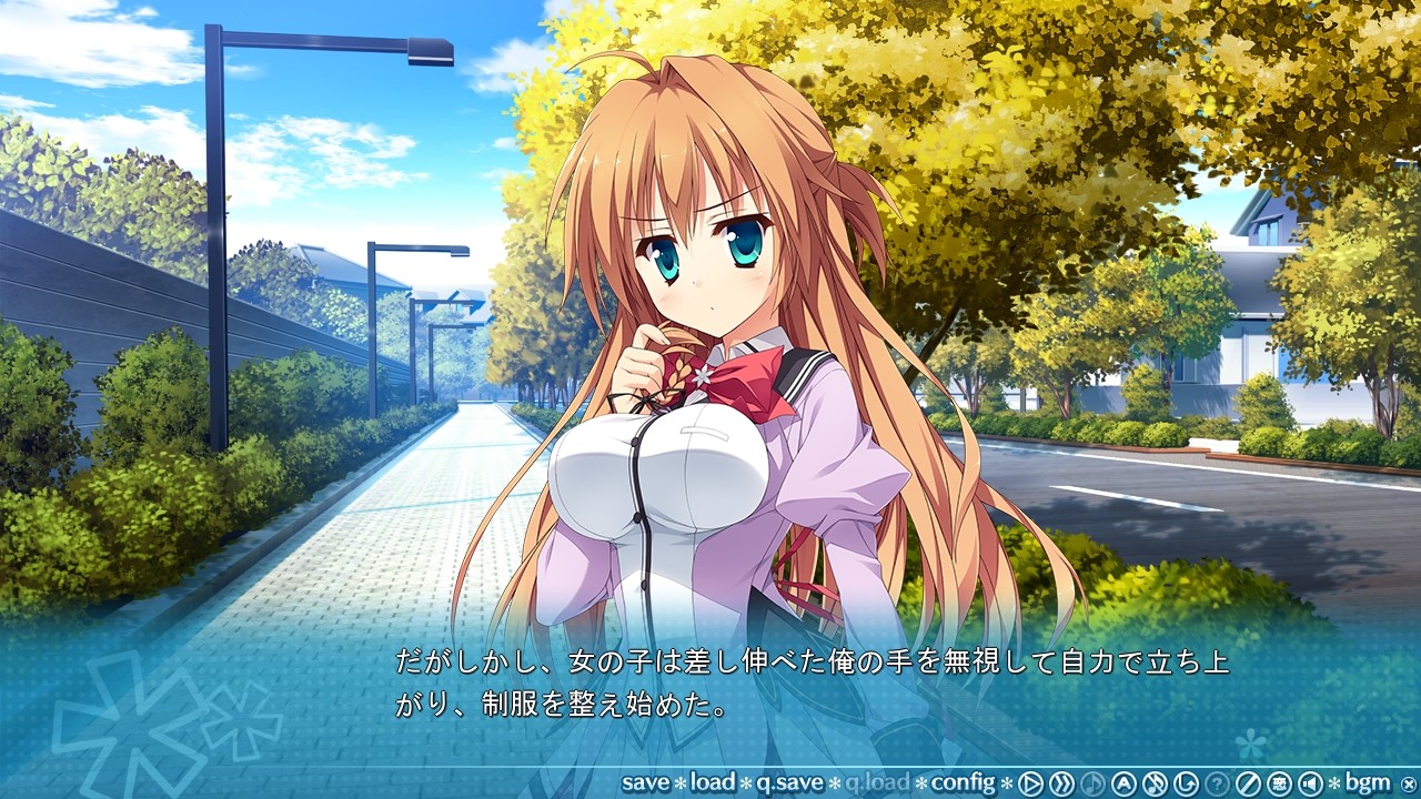 코이시키 매뉴얼