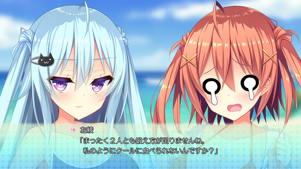 친카모 트윈즈 2! ～여름이다! 바다다! 쌍둥이 여동생 가슴 대결이다!～