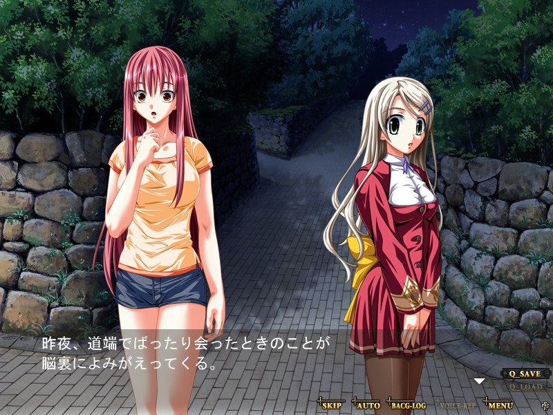 와나II～Gang Rape～