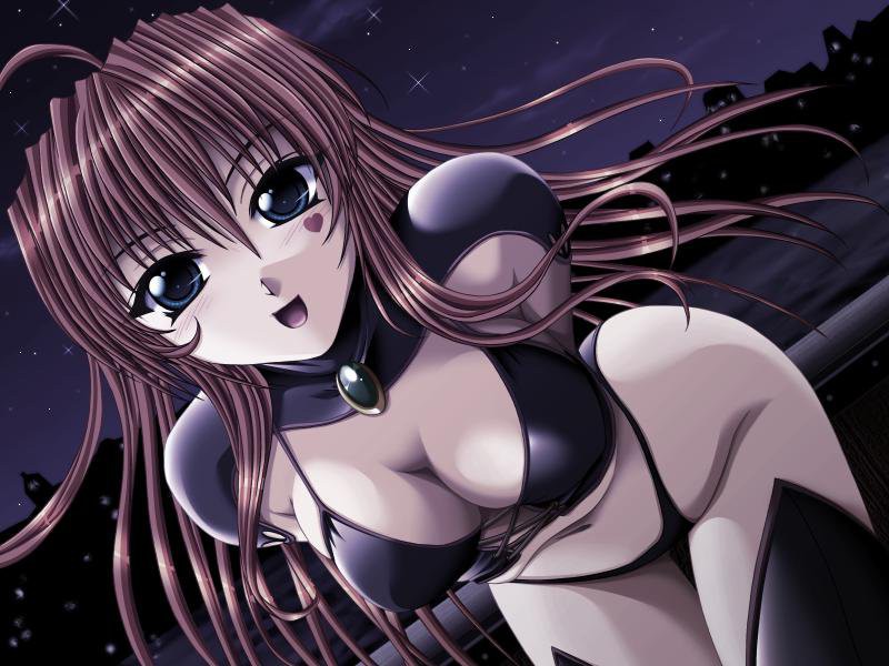 환린의 히메쇼군 II ～이끌리는 영혼의 계보～