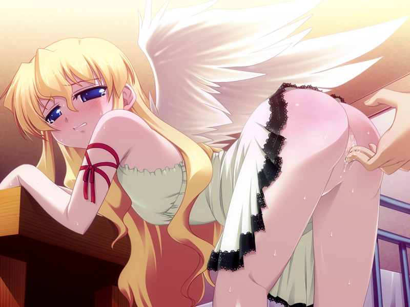 잿빛 하늘로 떨어진 날개