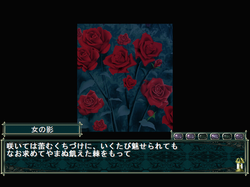 흑장미는 밤에 핀다