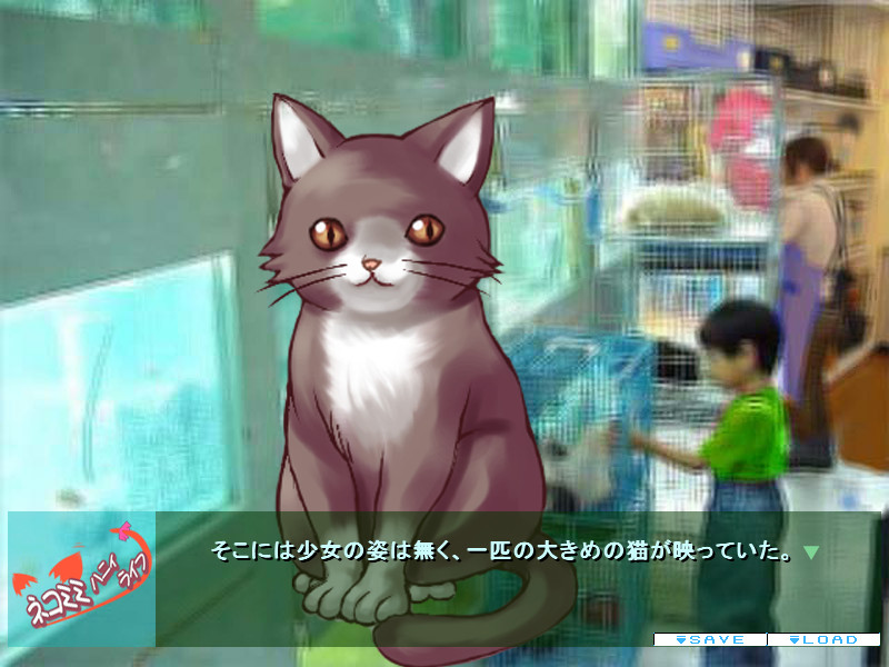 네코미미 허니 라이프