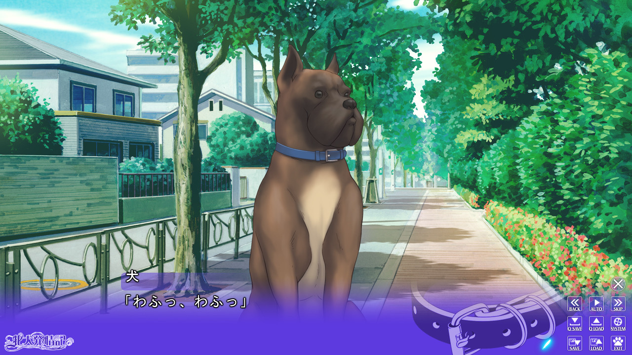 암컷 개 발정기 ～희미해져 가는 일상～