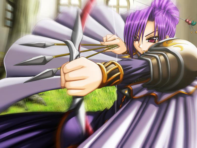 환린의 히메쇼군 II ～이끌리는 영혼의 계보～