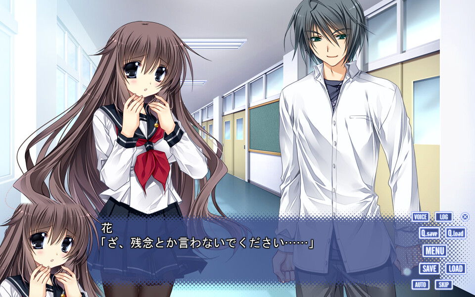 코이의 이야기와