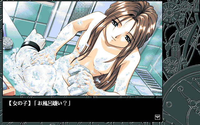 페르미온 ～미래로부터의 방문자～