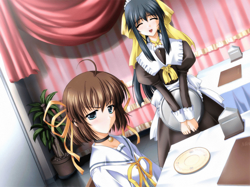 아르키메데스의 분실물