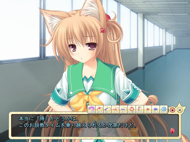 네코☆코이! ～네코가미님과 네코미미의 저주～