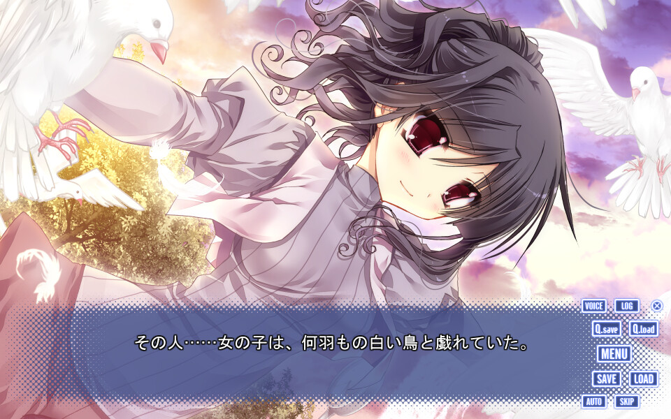 코이의 이야기와