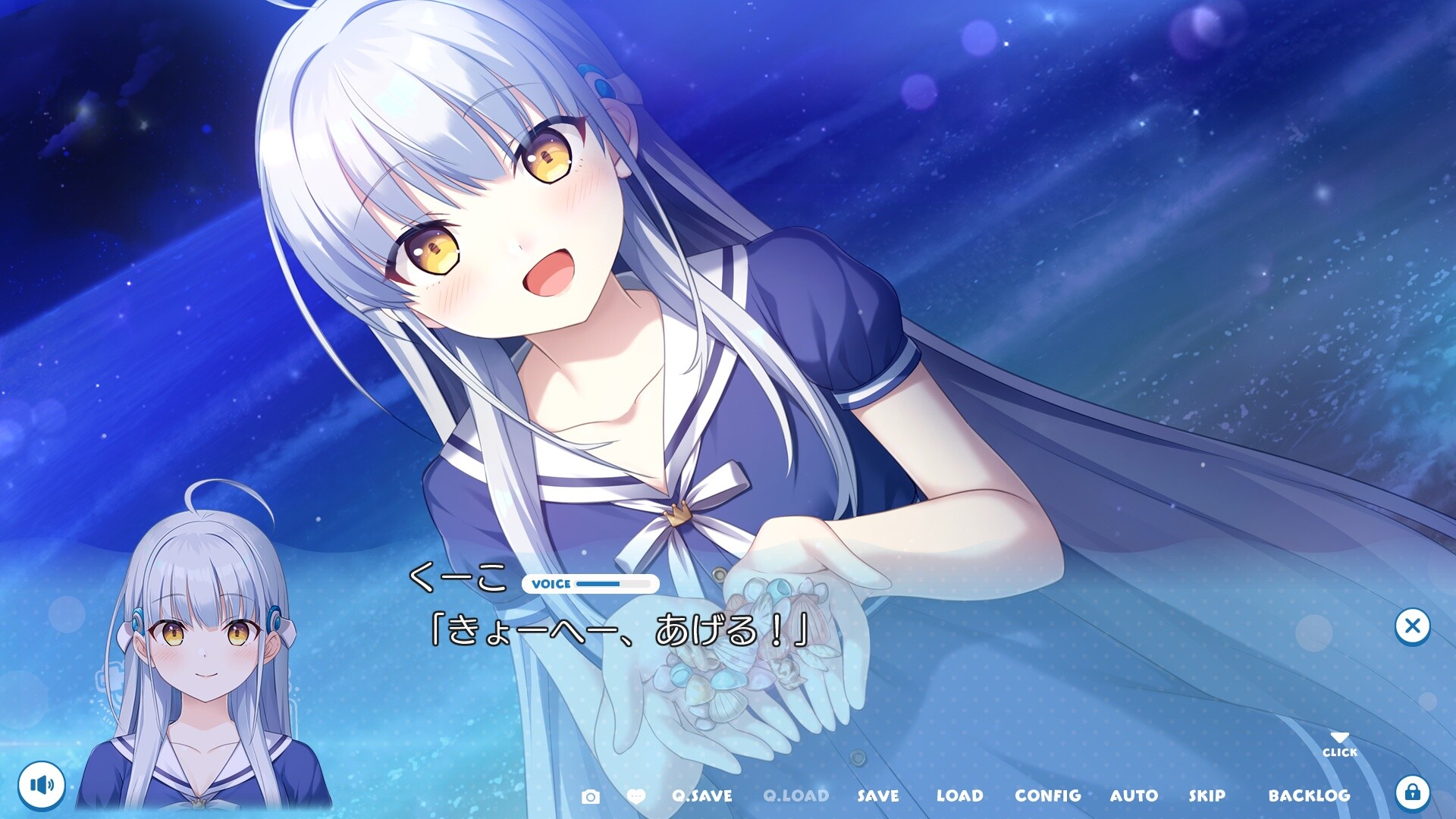 사메와 함께하는 7일간