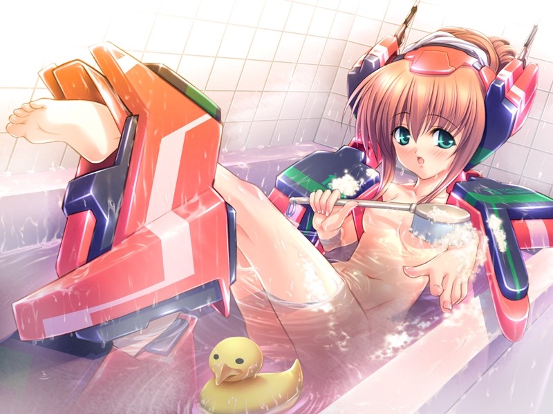 아이언 메이든 -강철의 처녀-