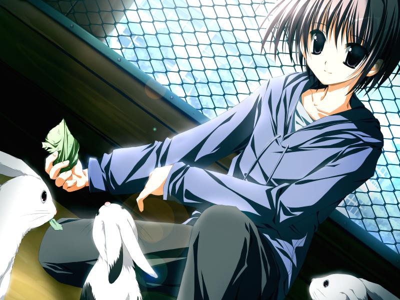 슈프레~무 캔디~왕도에는 왕도인 이유가 있는 거예요!~