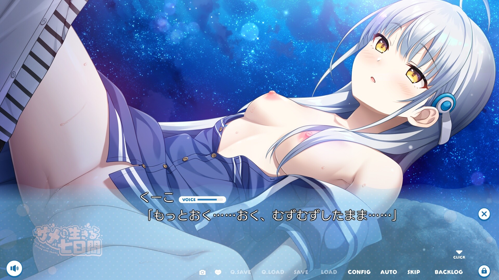 사메와 함께하는 7일간