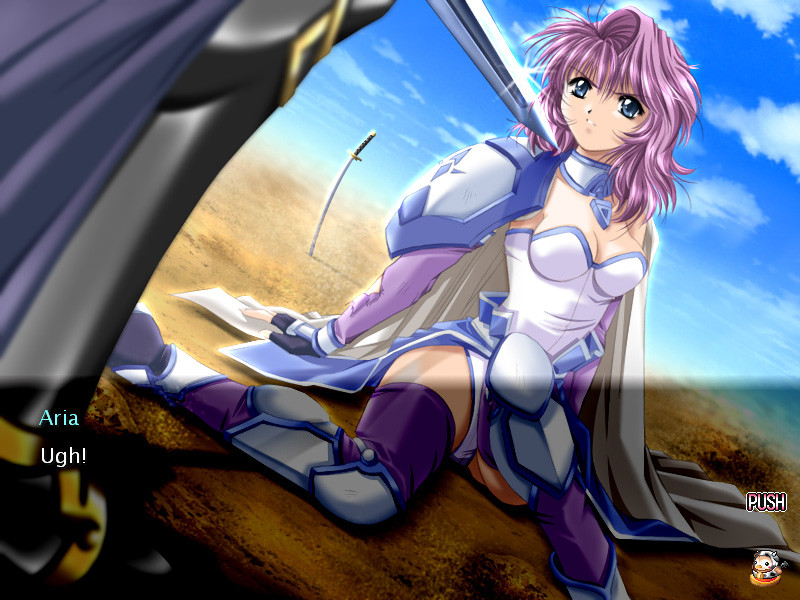 캐슬 판타지아 ～성마대전～