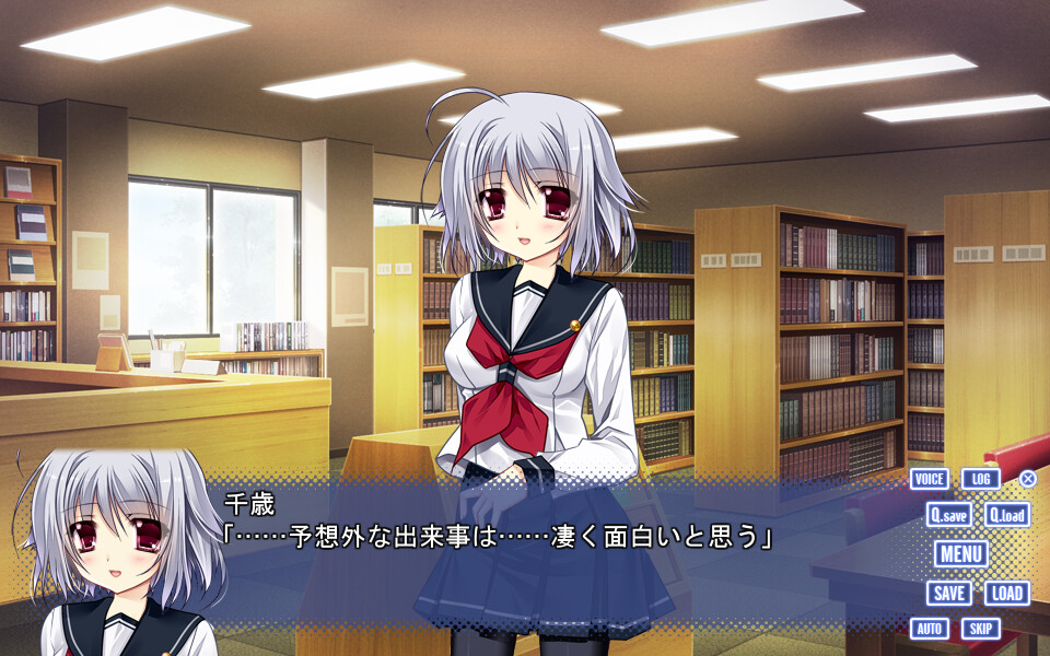 코이의 이야기와