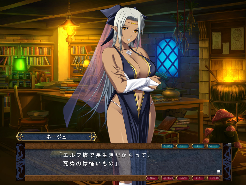 데모니온 ～마왕의 지하요새～