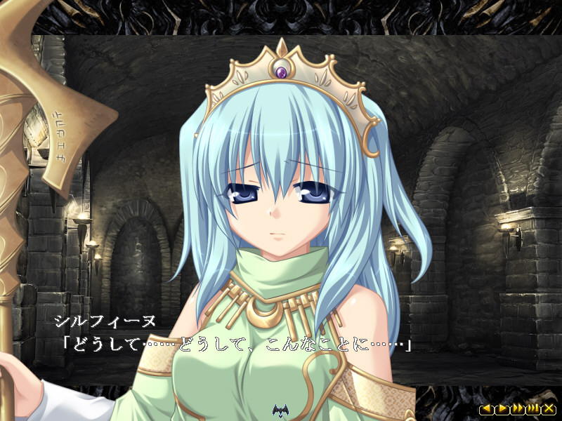 히메가리 던전 마이스터