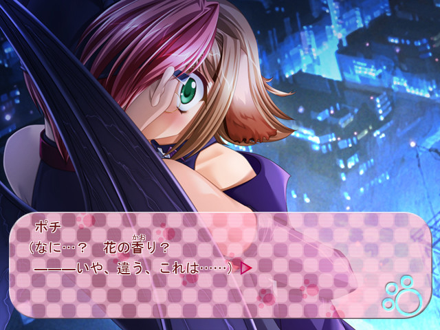 사립탐정 이누미미 포치