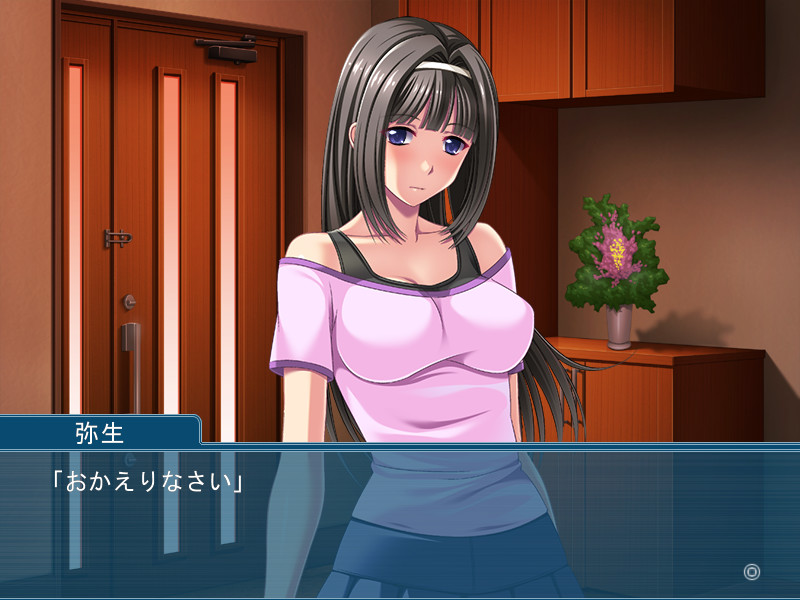 음언예속 ～그림자에 숨어있는 애욕과 지배～