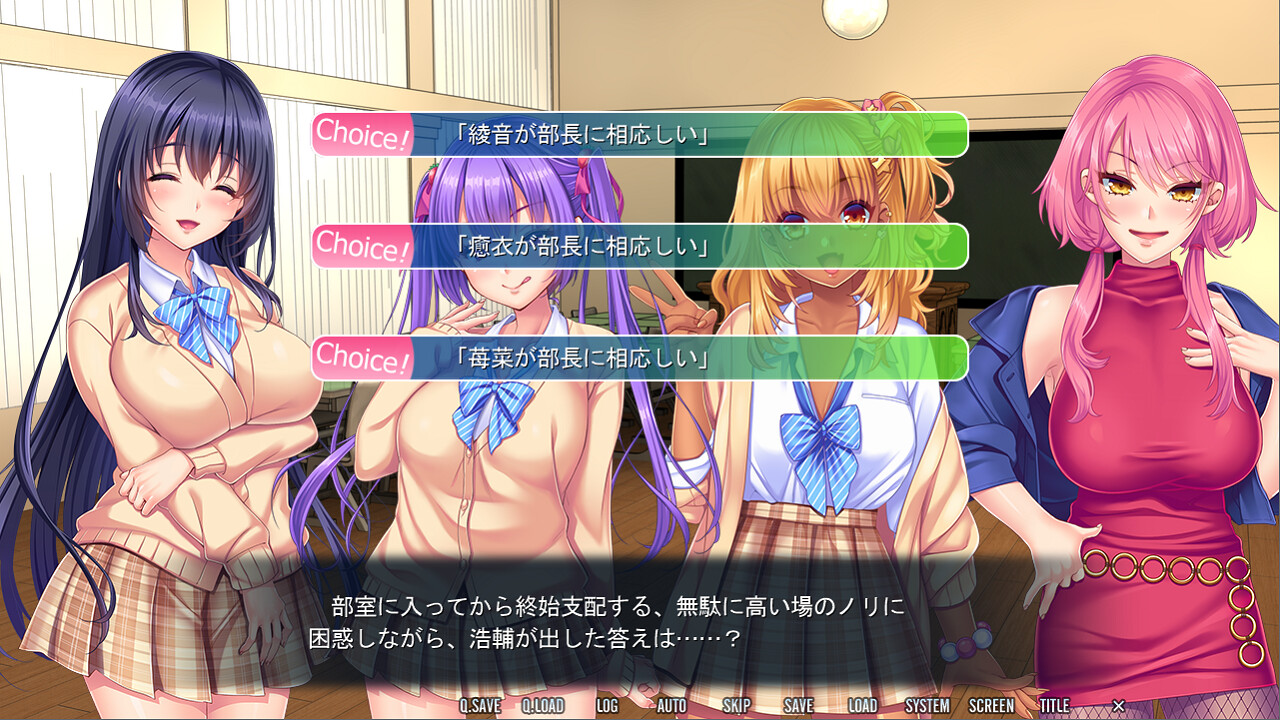 가칭코! 비치 클럽 센세이션