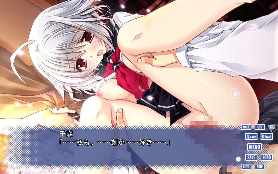 코이의 이야기와