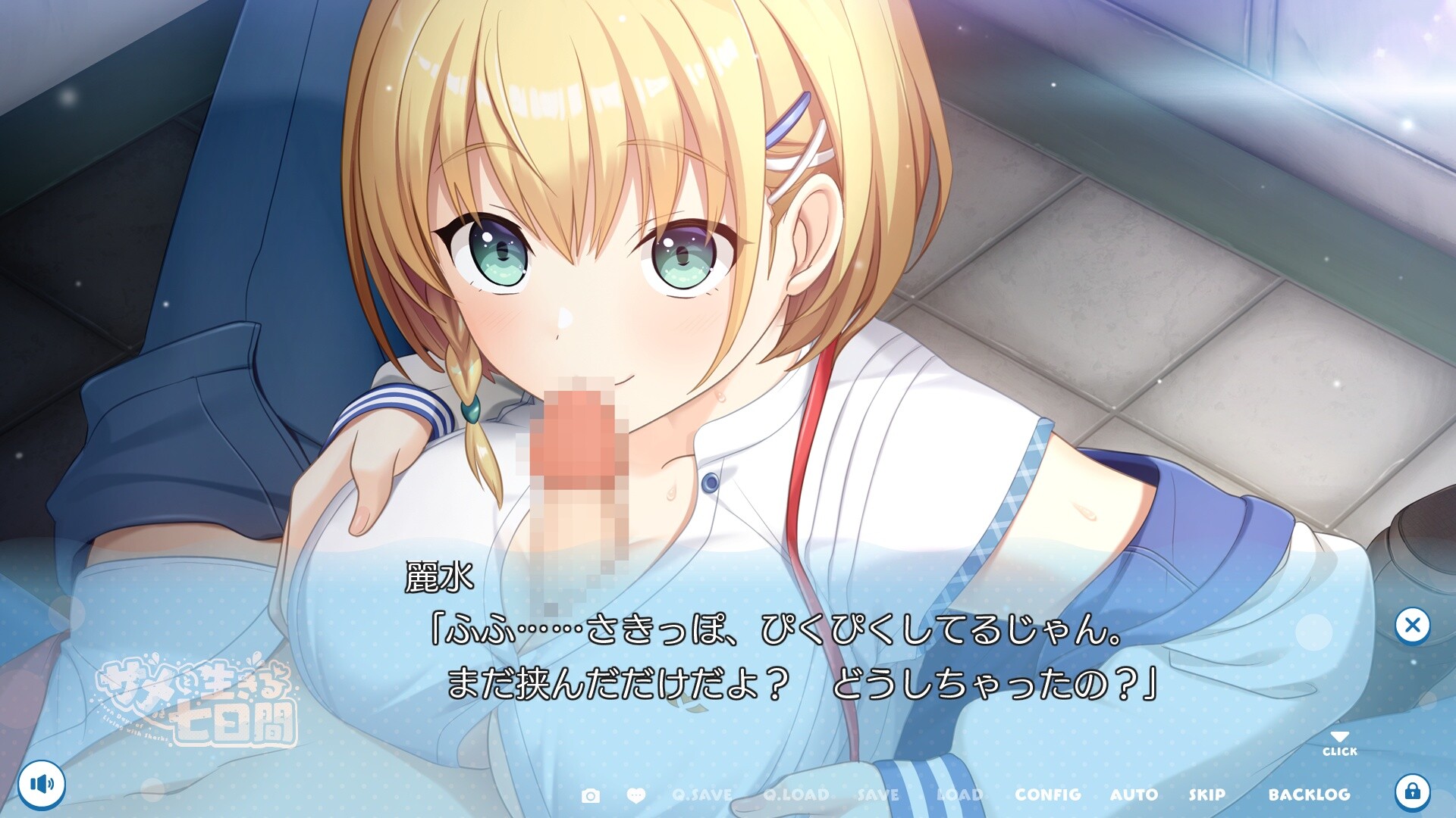 사메와 함께하는 7일간