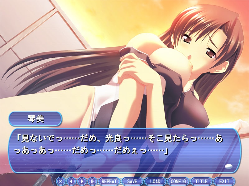 아네☆스크～제멋대로! 누나와 스쿨미즈 유혹 특훈～