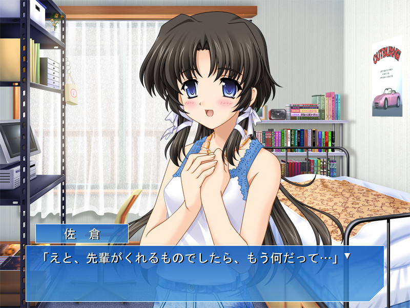 쁘띠 팬디스크 같은 거