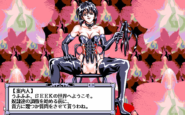 SEEK ～지하실의 암노예들～