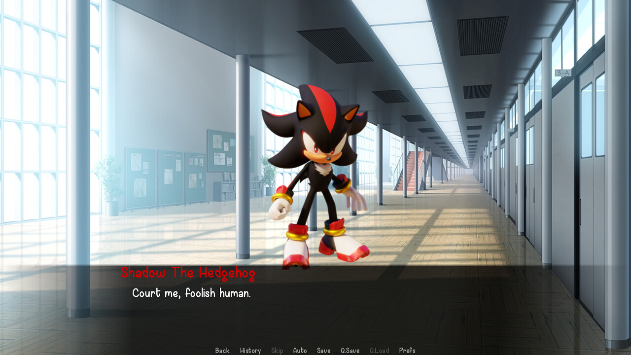 Shadow The Hedgehog