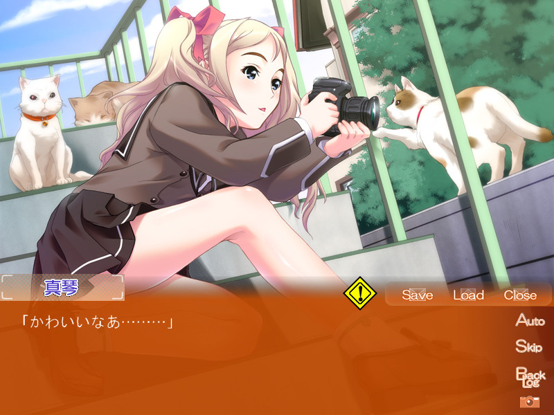 셔터 찬스・러브