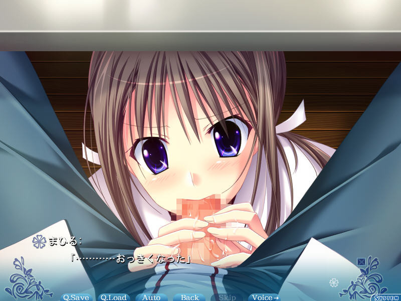 프리☆사라～두근두근×러브러브 W 팬디스크～