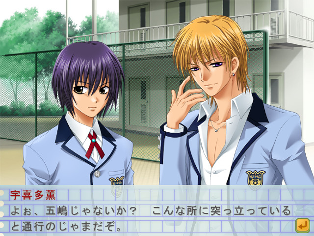 에토와르의 방정식