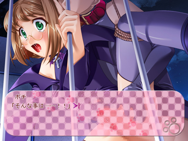 사립탐정 이누미미 포치