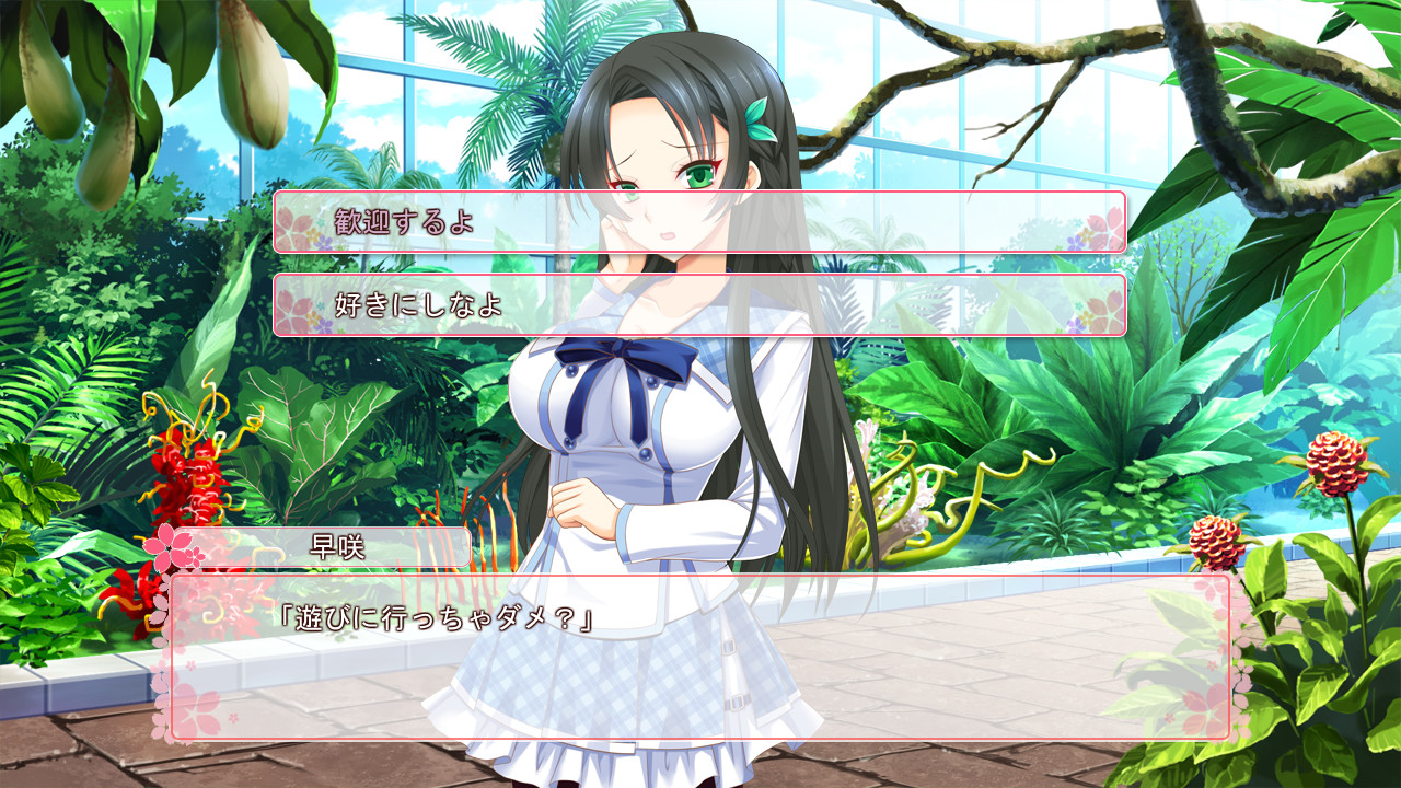 사쿠라 싱크로니시티