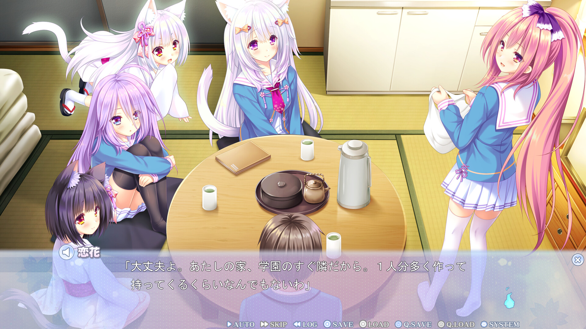 네코츠쿠, 사쿠라.