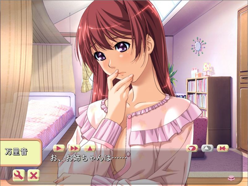 시스터·스키임~언니와의 시카타에 대하여~