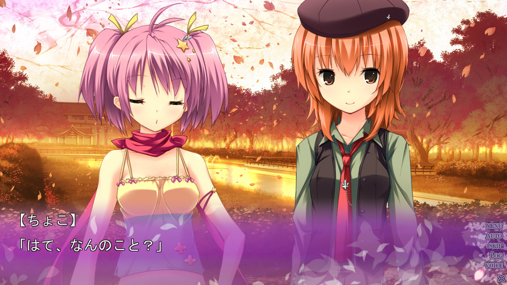 스키마 사쿠라와 거짓말의 도시